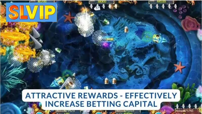 Attractive Rewards – Effectively Increase Your Betting Capital