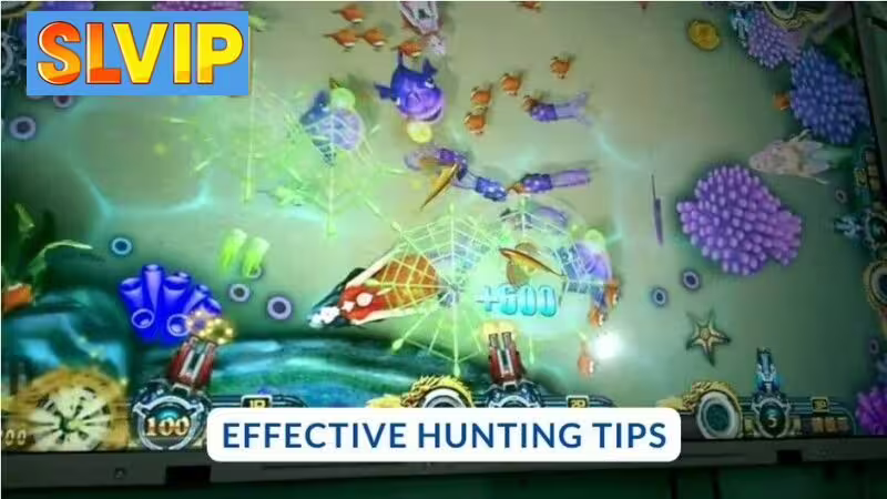 Effective Hunting Tips