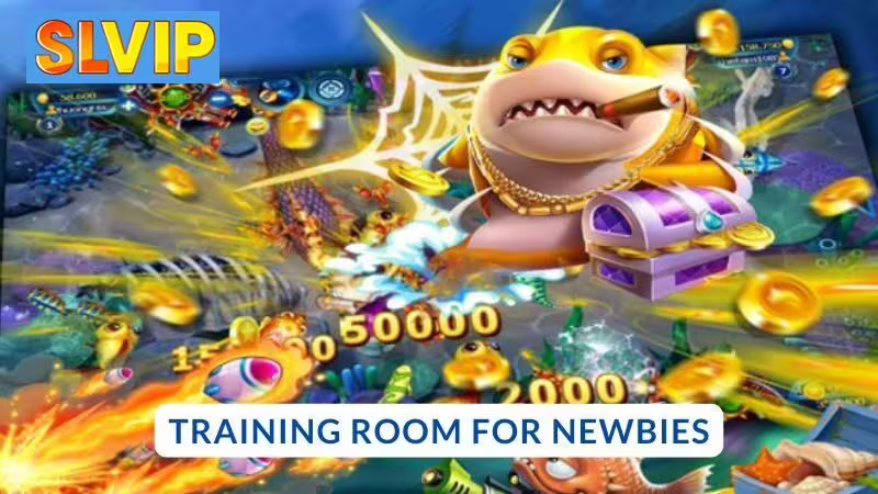 Beginner’s Room